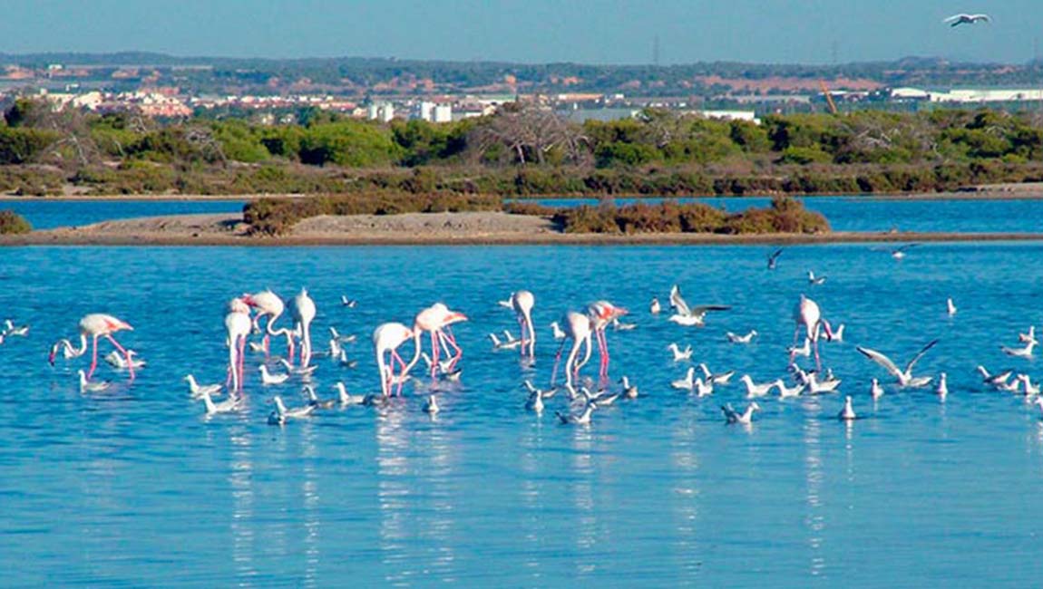 Las mejores actividades al aire libre en Murcia para los amantes de la aventura